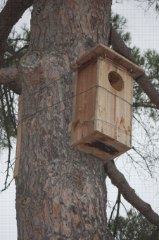 Nichoir à chouette hulotte en bois